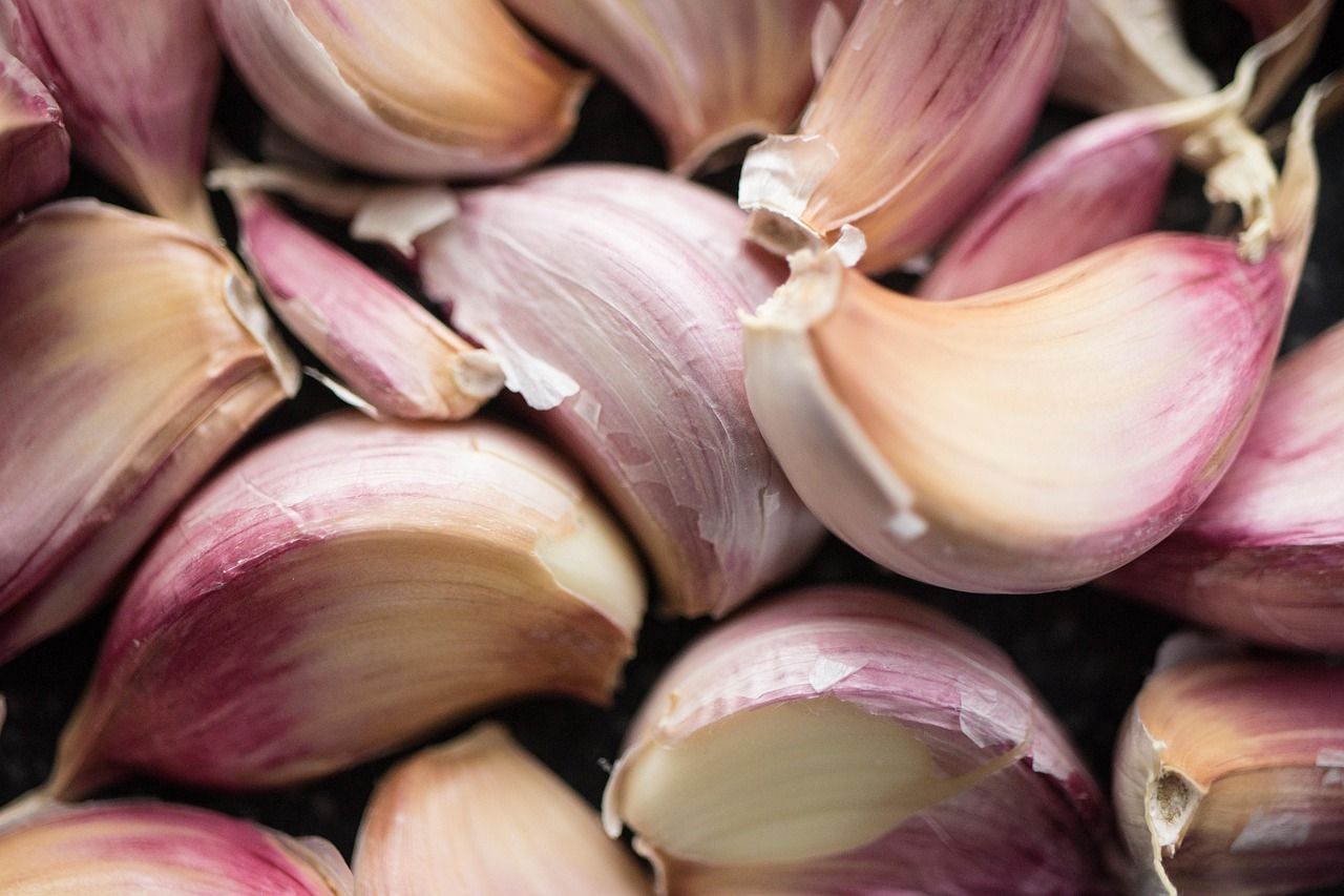 entdecken sie gesunde kochrezepte und tipps für ausgewogene ernährung. lernen sie, wie sie gesunde mahlzeiten einfach und lecker zubereiten können – für mehr wohlbefinden im alltag.