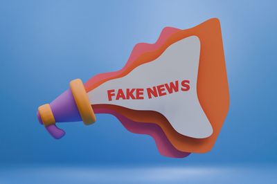 Was sind die Auswirkungen von Desinformation auf die Demokratie?