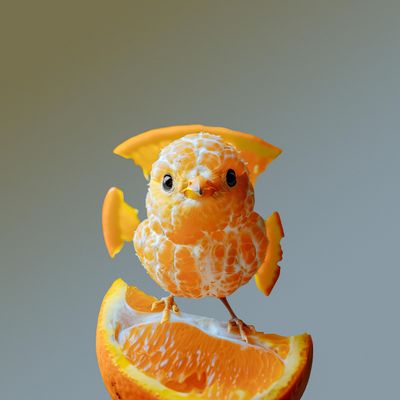 Welche Ernährung stärkt das Immunsystem nachhaltig?
