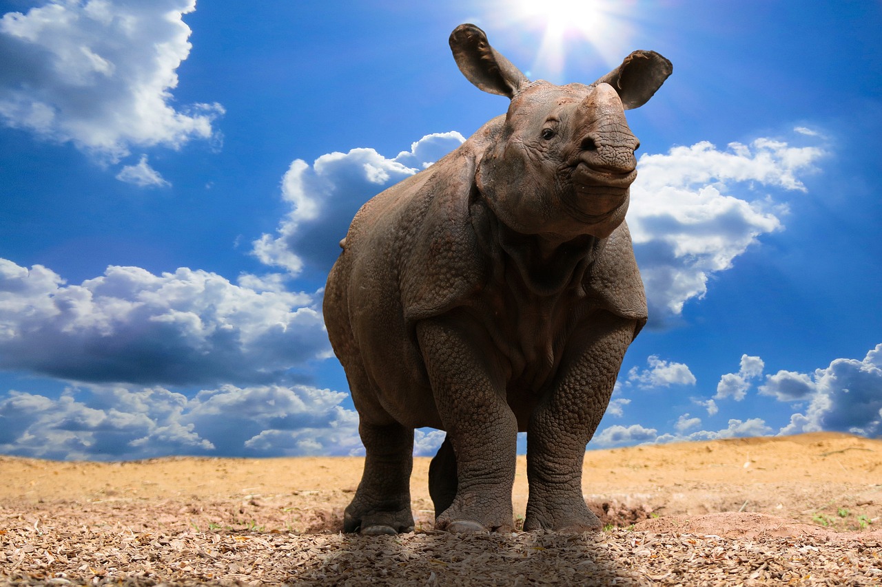 erfahren sie, wie sich der klimawandel auf unsere umwelt, wirtschaft und gesellschaft auswirkt. entdecken sie fakten, ursachen und lösungen rund um die globale erwärmung und nachhaltige maßnahmen.