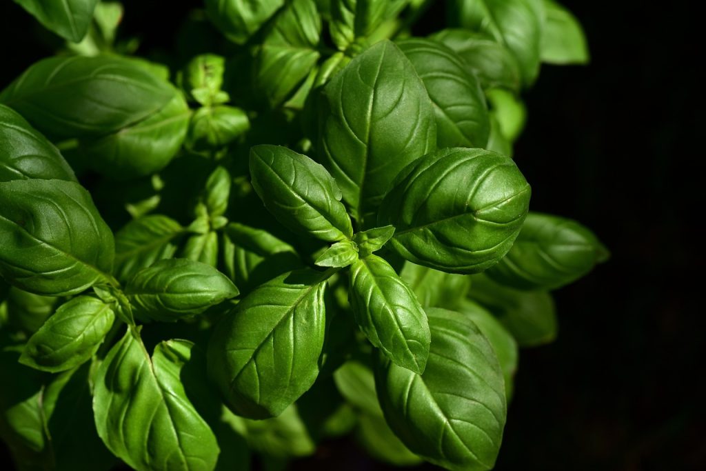 entdecken sie eine große auswahl an gewürzen und erfahren sie, wie sie mit dem richtigen seasoning ihren gerichten mehr geschmack und aroma verleihen können. tipps und inspirationen für die perfekte würze in der küche.